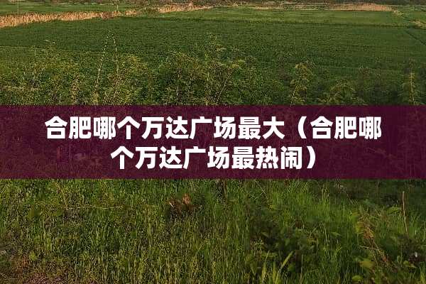 合肥哪个万达广场最大（合肥哪个万达广场最热闹）