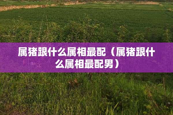 属猪跟什么属相最配（属猪跟什么属相最配男）