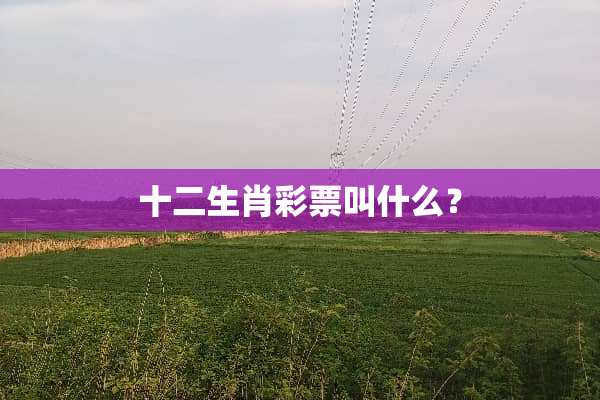 十二生肖**叫什么？