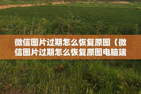微信图片过期怎么恢复原图（微信图片过期怎么恢复原图电脑端）