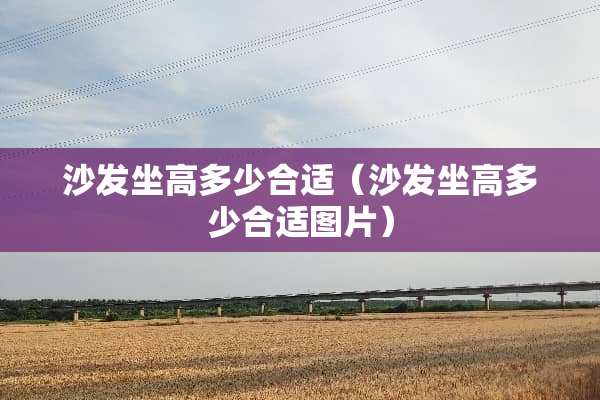 沙发坐高多少合适（沙发坐高多少合适图片）