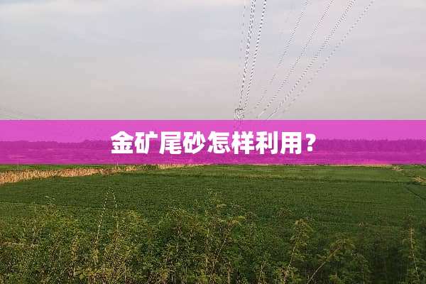 金矿尾砂怎样利用？