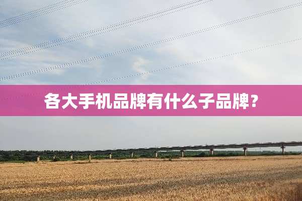 各大手机品牌有什么子品牌？
