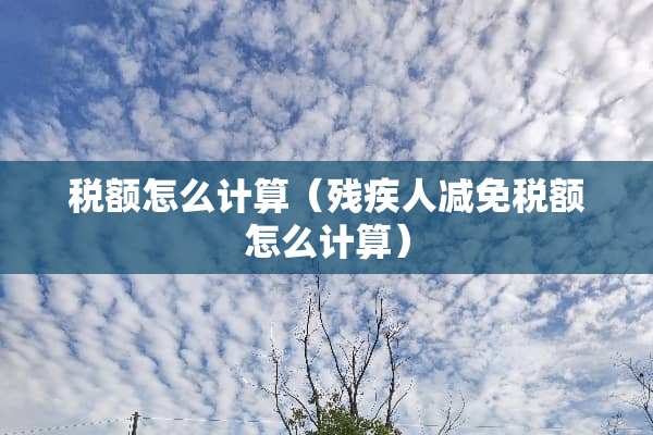 税额怎么计算（残疾人减免税额怎么计算）