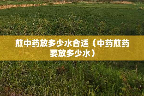 煎中药放多少水合适（中药煎药要放多少水）