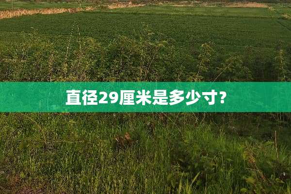 直径29厘米是多少寸？