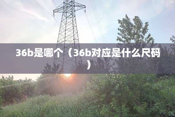 36b是哪个（36b对应是什么尺码）