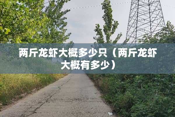 两斤龙虾大概多少只（两斤龙虾大概有多少）