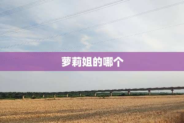 **姐的哪个