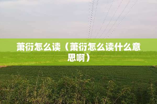 萧衍怎么读（萧衍怎么读什么意思啊）