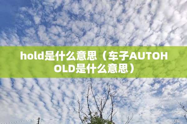 hold是什么意思（车子AUTOHOLD是什么意思）