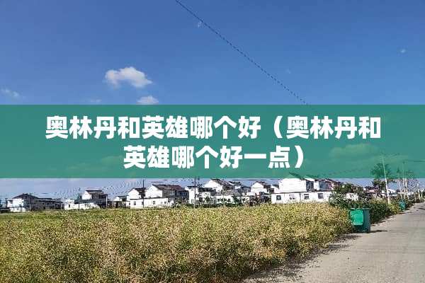 奥林丹和英雄哪个好（奥林丹和英雄哪个好一点）