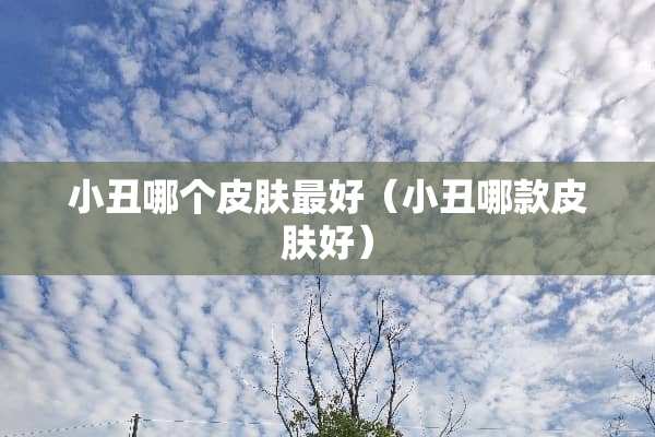 小丑哪个皮肤最好（小丑哪款皮肤好）