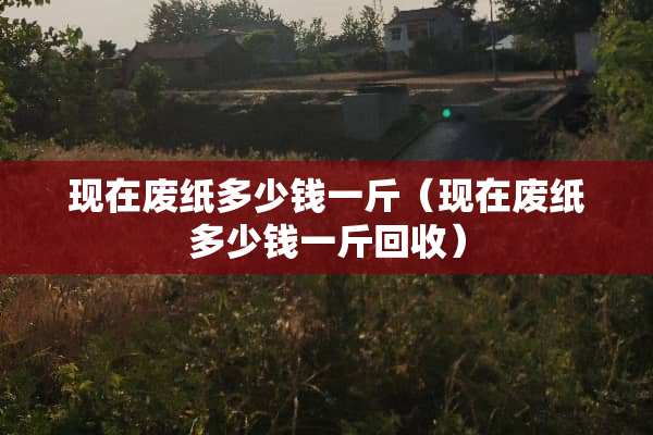 现在废纸多少钱一斤（现在废纸多少钱一斤回收）