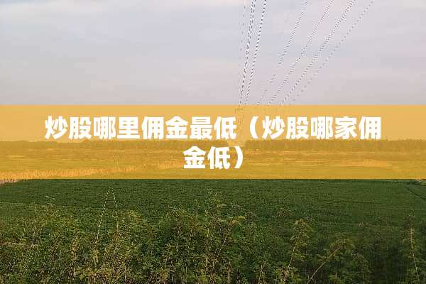 炒股哪里佣金最低（炒股哪家佣金低）