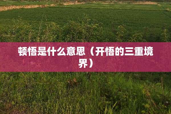 顿悟是什么意思（开悟的三重境界）