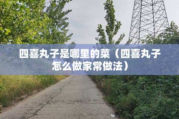 四喜丸子是哪里的菜（四喜丸子怎么做家常做法）