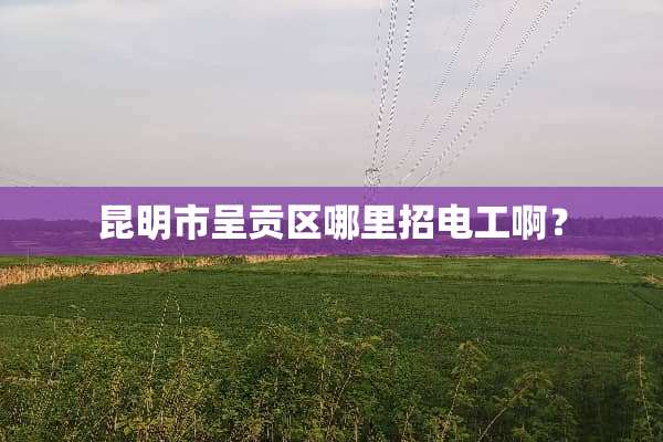 昆明市呈贡区哪里招电工啊？