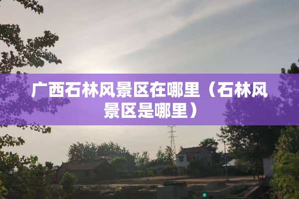 广西石林风景区在哪里（石林风景区是哪里）