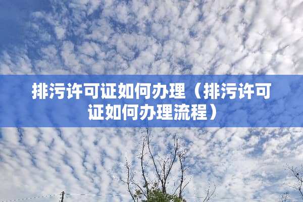 排污许可证如何办理（排污许可证如何办理流程）