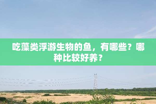 吃藻类浮游生物的鱼，有哪些？哪种比较好养？