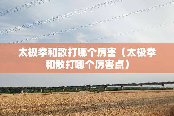 太极拳和散打哪个厉害（太极拳和散打哪个厉害点）