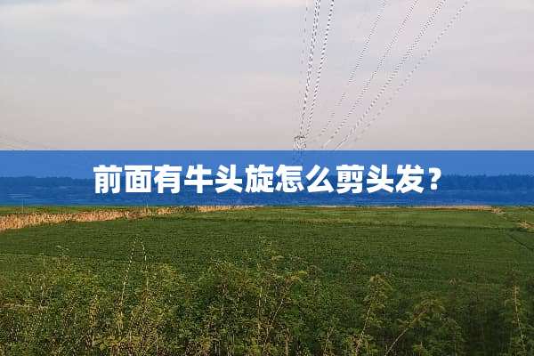 前面有牛头旋怎么剪头发？