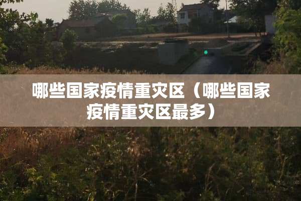 哪些国家疫情重灾区（哪些国家疫情重灾区最多）