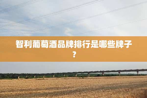 智利葡萄酒品牌排行是哪些牌子？
