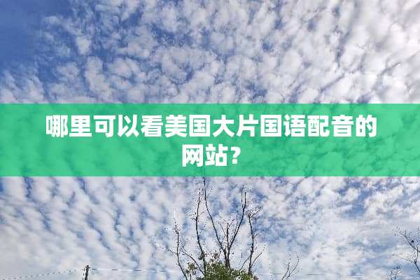 哪里可以看美国大片国语配音的网站？