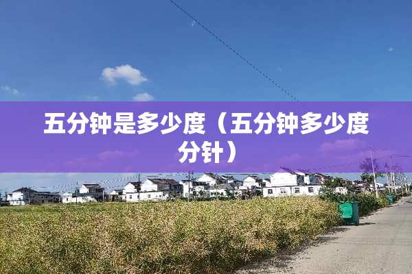 五分钟是多少度（五分钟多少度分针）