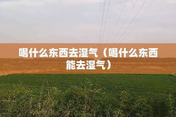 喝什么东西去湿气（喝什么东西能去湿气）