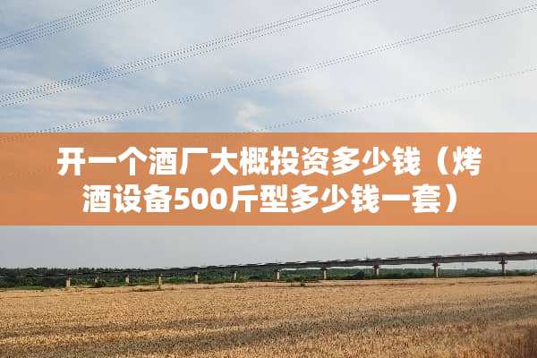 开一个酒厂大概投资多少钱（烤酒设备500斤型多少钱一套）
