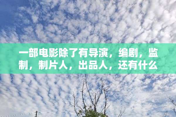 一部电影除了有导演，编剧，监制，制片人，出品人，还有什么？