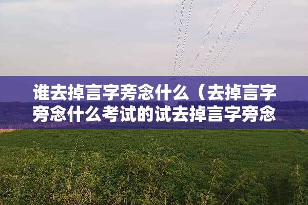 谁去掉言字旁念什么（去掉言字旁念什么考试的试去掉言字旁念什么）