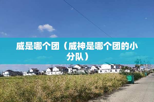 威是哪个团（威神是哪个团的小分队）