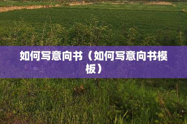 如何写意向书（如何写意向书模板）