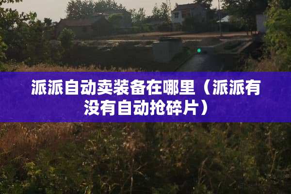 派派自动卖装备在哪里（派派有没有自动抢碎片）