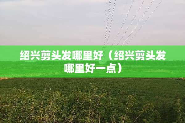 绍兴剪头发哪里好（绍兴剪头发哪里好一点）