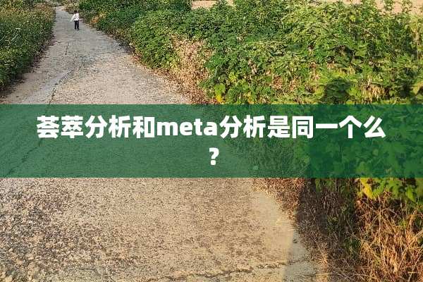 荟萃分析和meta分析是同一个么？
