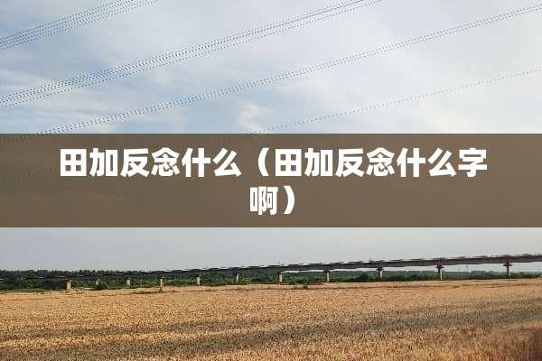 田加反念什么（田加反念什么字啊）