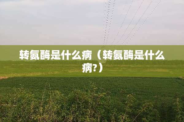 转氨酶是什么病（转氨酶是什么病?）