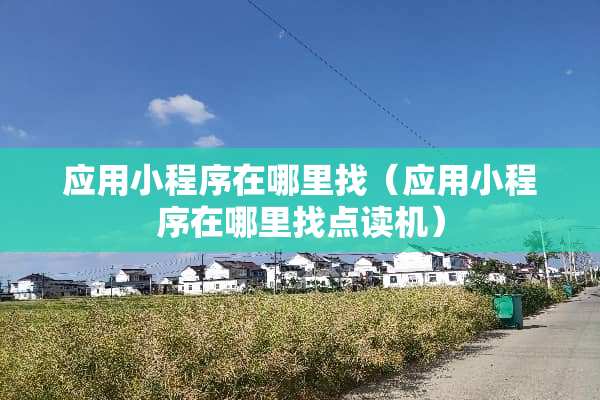 应用小程序在***（应用小程序在***点读机）