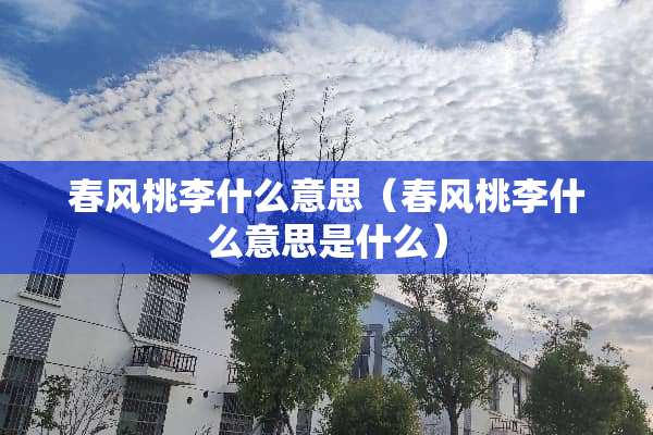 春风桃李什么意思（春风桃李什么意思是什么）