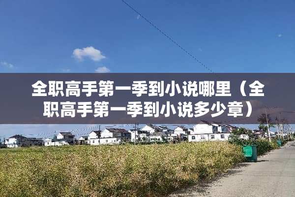 **高手第一季到小说哪里（**高手第一季到小说多少章）