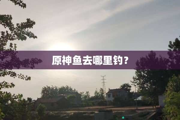原神鱼去哪里钓？