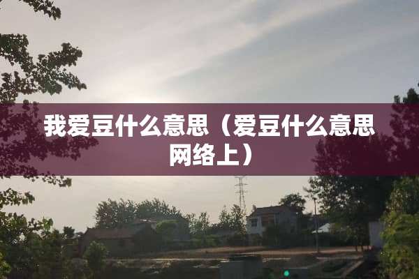 我爱豆什么意思（爱豆什么意思网络上）