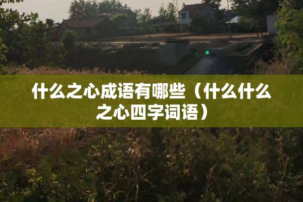 什么之心成语有哪些（什么什么之心四字词语）