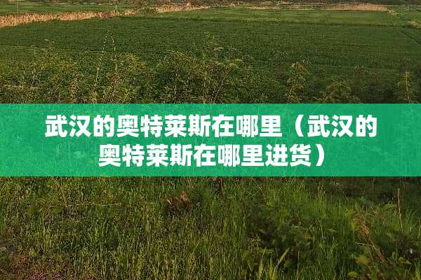 武汉的奥特莱斯在哪里（武汉的奥特莱斯在哪里进货）