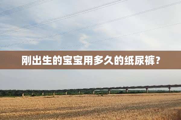 刚出生的宝宝用多久的纸尿裤？